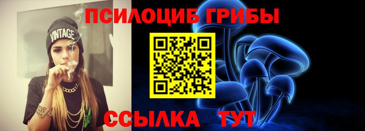 купить  цена  Псилоцибиновые грибы Psilocybe  Вход с VPN  Орск 