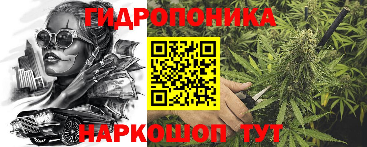 Бошки марихуана семена  Бошки марихуана VHQ  Канабис VHQ  Орск  Вход с VPN  Конопля THC 21% 